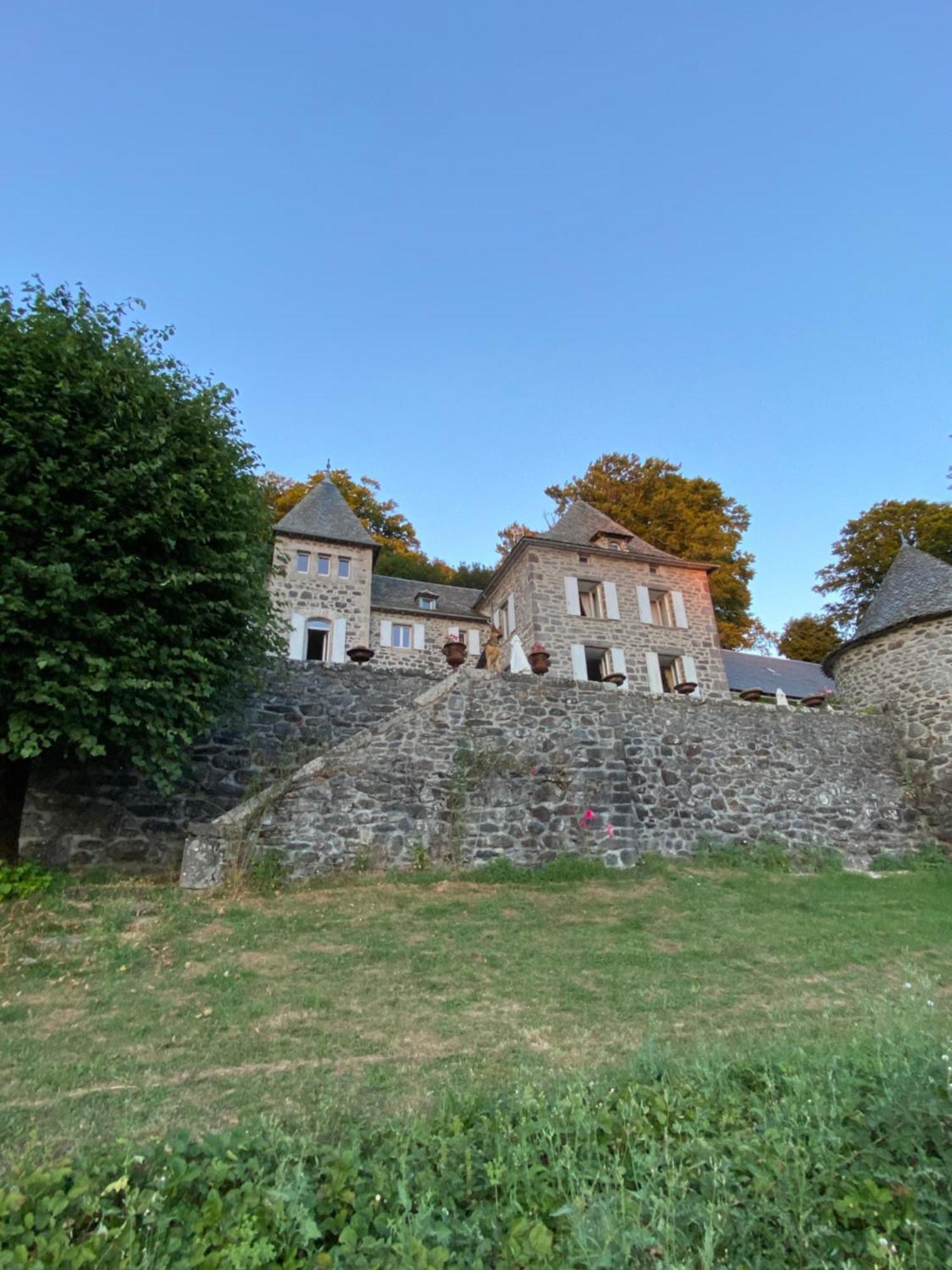Chateau Du Puech Curieres Buitenkant foto