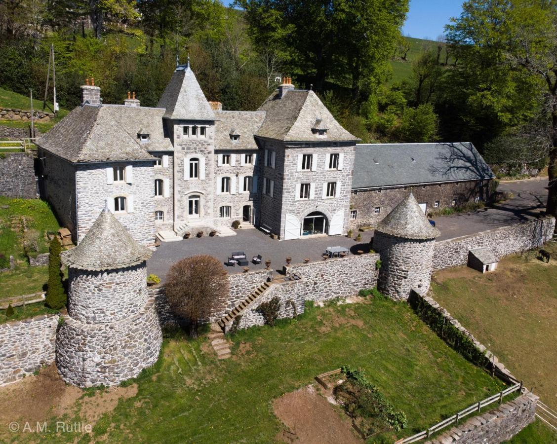 Chateau Du Puech Curieres Buitenkant foto